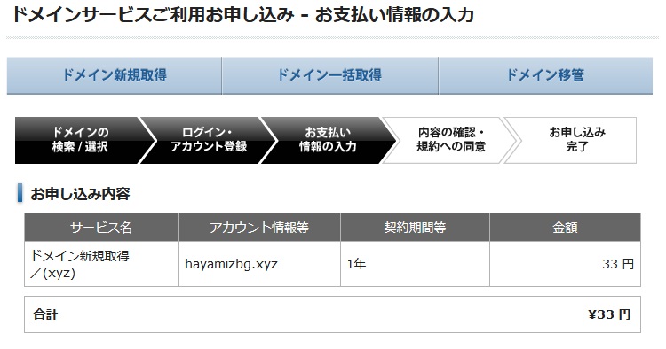 ドメインサービス申し込み・支払情報の入力