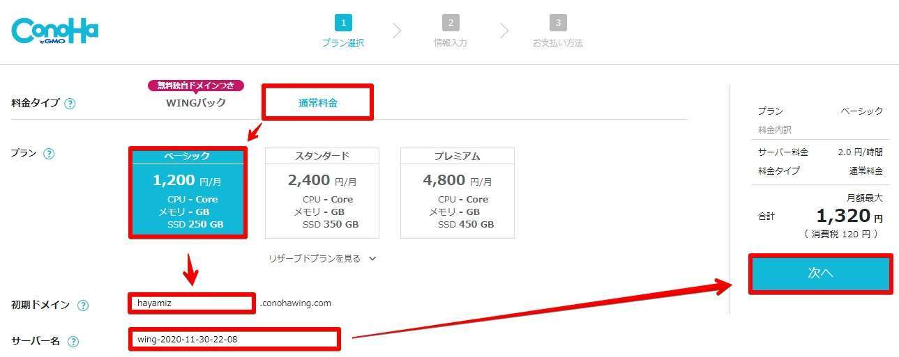料金タイプとプランを選択し、初期ドメインとサーバー名を入力しよう